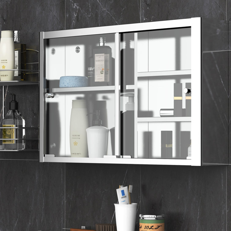 Wrought Studio Farrod Surface Mount Framed 2 Door Medicine